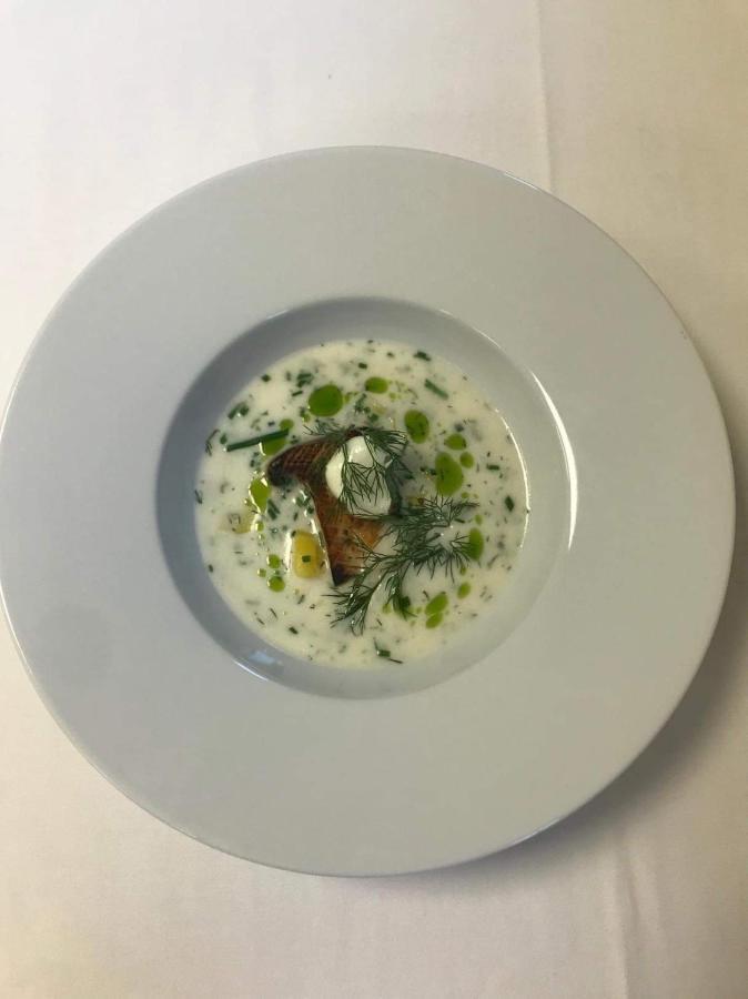 Penzion & Restaurace U Vily Sezimovo Usti 외부 사진